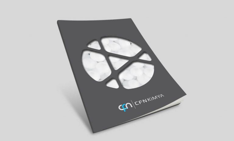 Cfn Kimya Katalog Tasarımı