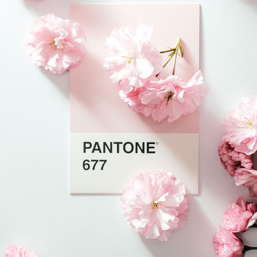Pantone ne demek