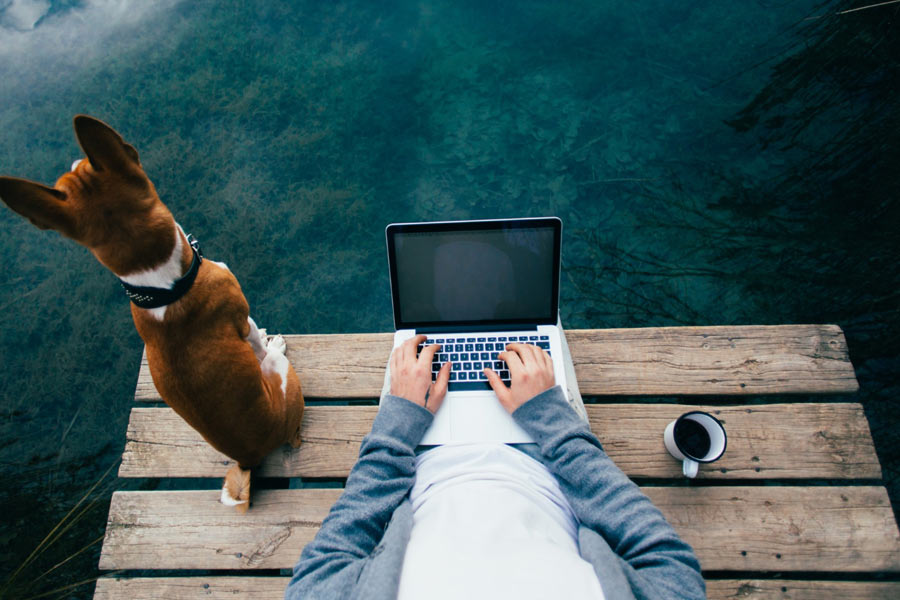 Dijital Göçebe Nedir, Dijital Göçebe Vizesi Nasıl Alınır?